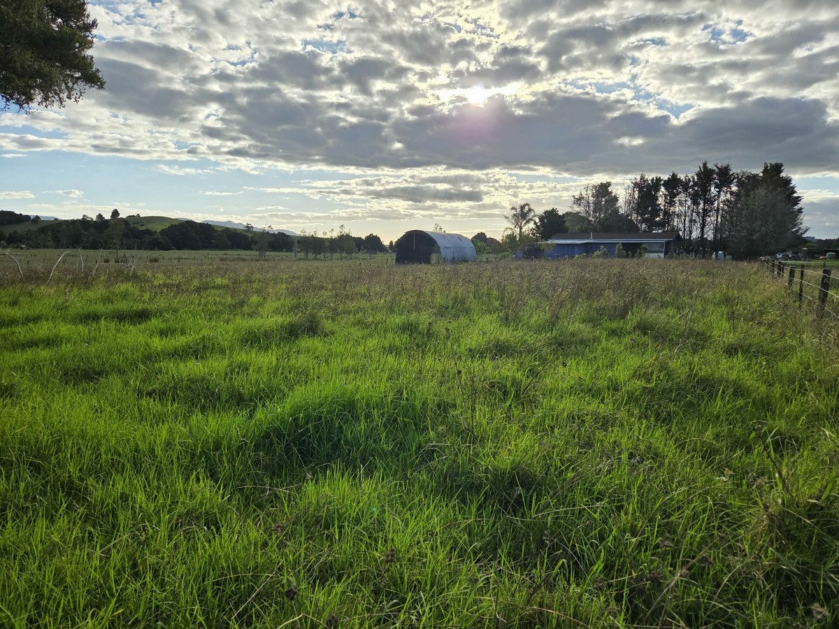 Diamond in the Rough - Big Potential on 2.5 Acres