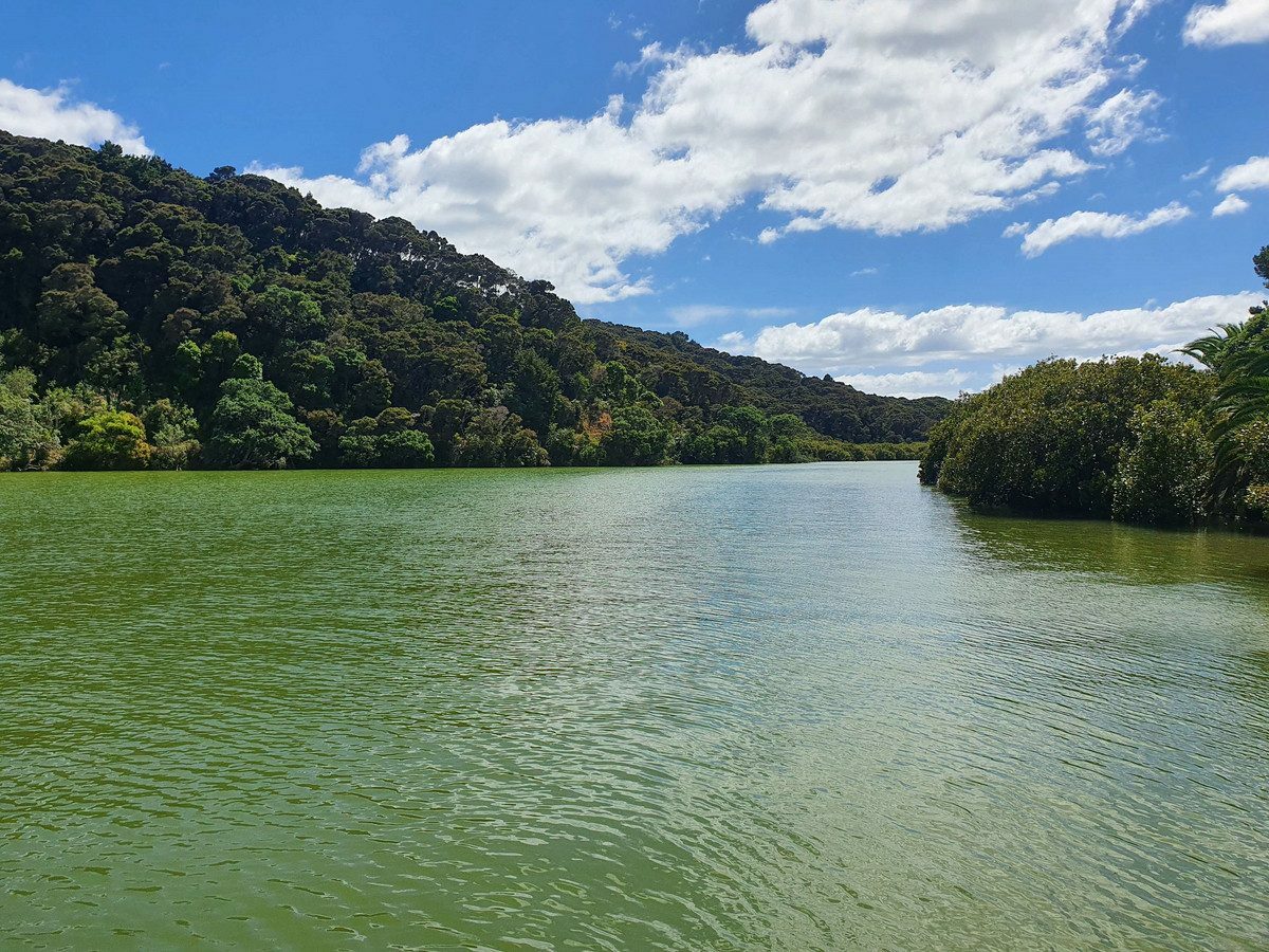 Your Bay of Islands Dream Starts Here...