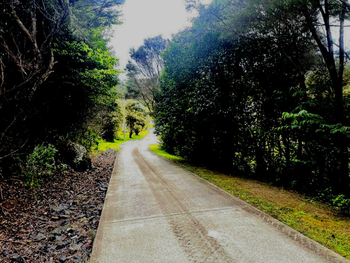 Your Bay of Islands Dream Starts Here...