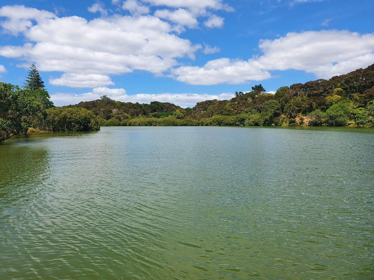 Your Bay of Islands Dream Starts Here...